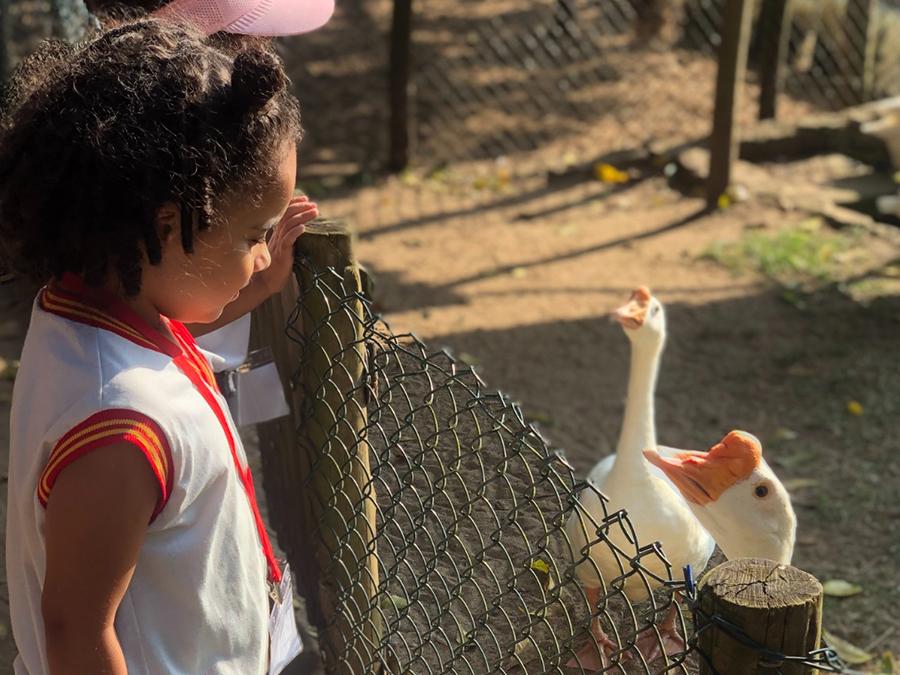 Passeio Fazenda Boa Aventura